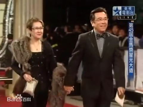 姜大卫(John Chiang)-第45届台湾金马奖性感图片壁纸