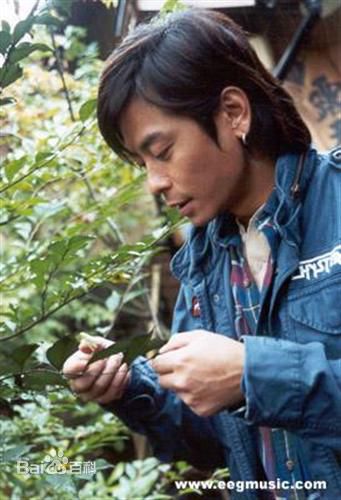 王杰(Dave Wang、Wang Chieh)精选图册