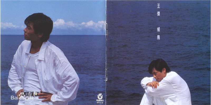 王杰(Dave Wang、Wang Chieh)最优质专辑封面相册