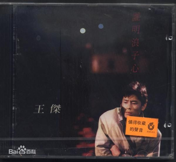 王杰(Dave Wang、Wang Chieh)最优质专辑封面相册