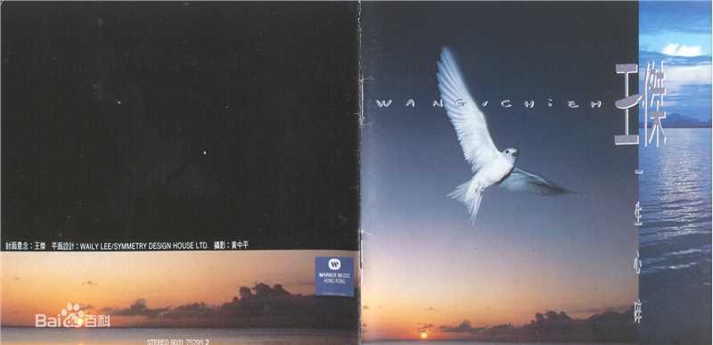 王杰(Dave Wang、Wang Chieh)最优质专辑封面相册