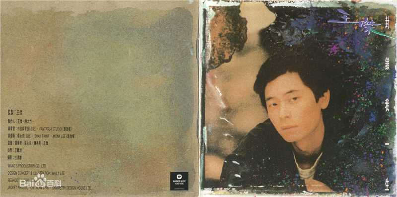 王杰(Dave Wang、Wang Chieh)最优质专辑封面相册