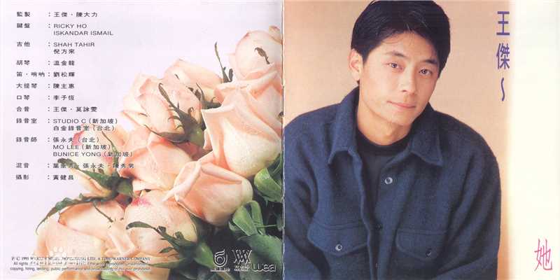 王杰(Dave Wang、Wang Chieh)最优质专辑封面相册
