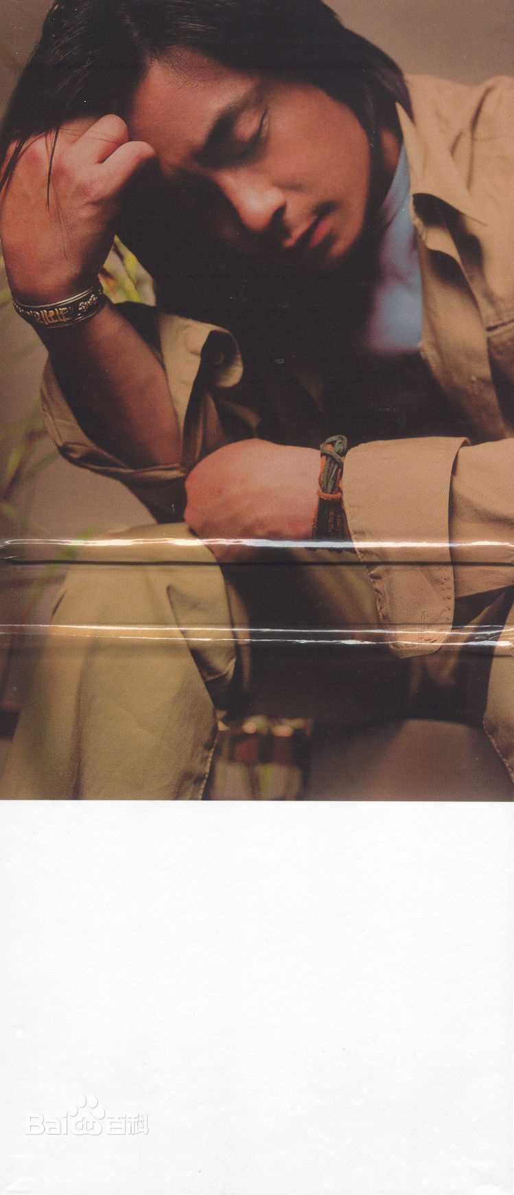 王杰(Dave Wang、Wang Chieh)最优质专辑封面相册