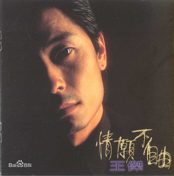 王杰(Dave Wang、Wang Chieh)最优质专辑封面相册