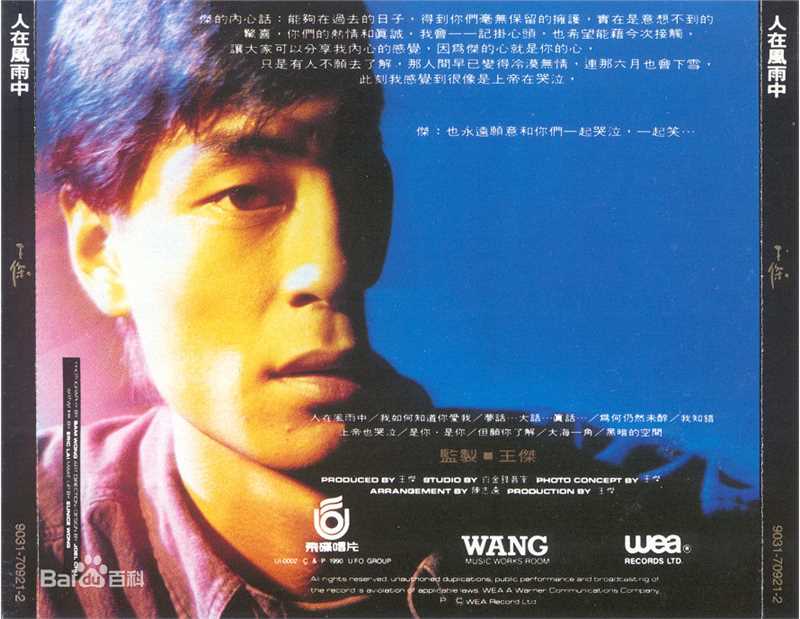 王杰(Dave Wang、Wang Chieh)最优质专辑封面相册