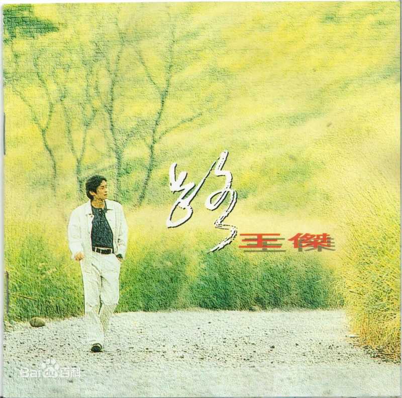王杰(Dave Wang、Wang Chieh)最优质专辑封面相册