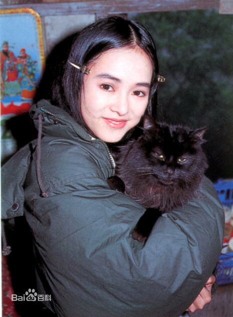 叶蕴仪(Gloria Yip Wan-Yee)演员演出图片图册