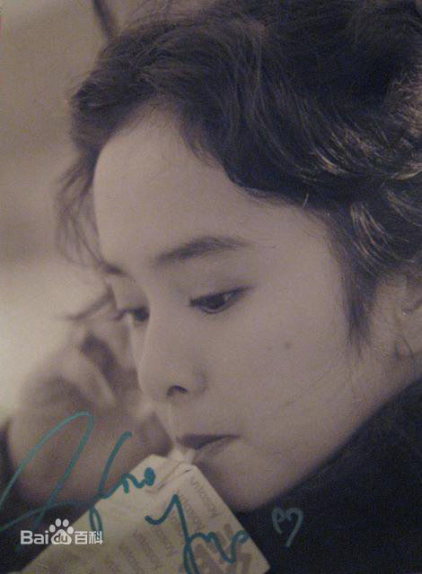 最新叶蕴仪(Gloria Yip Wan-Yee)精彩图册