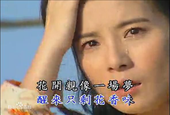 最优质岳翎(LEEN (YUE LING）)精彩图册