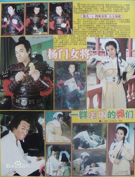 岳翎(LEEN (YUE LING）)2001年《杨门女将之女儿当自强》最优质剧照