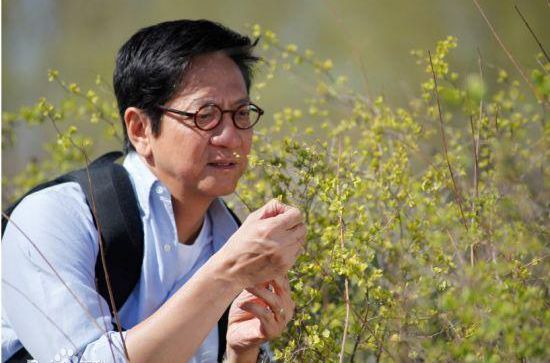 最新陈友(Anthony ”Friend“ Chan)壁纸