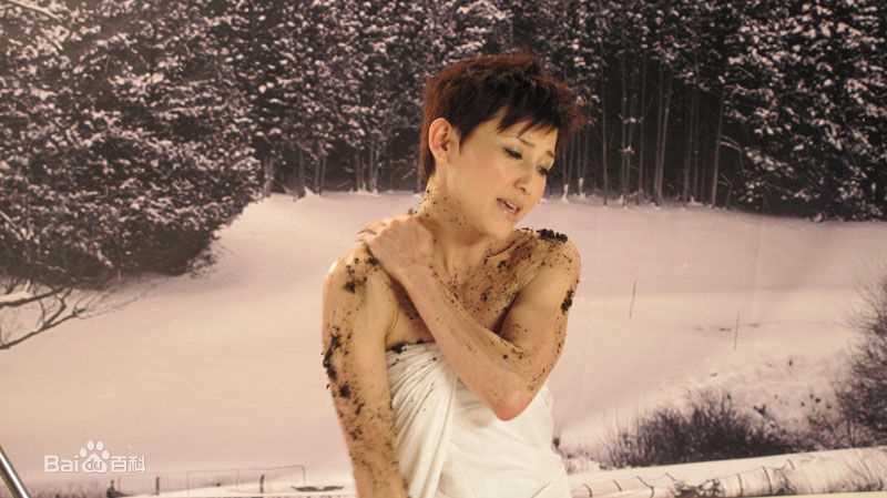 精选刘美君(Prudence Liew)精彩图册