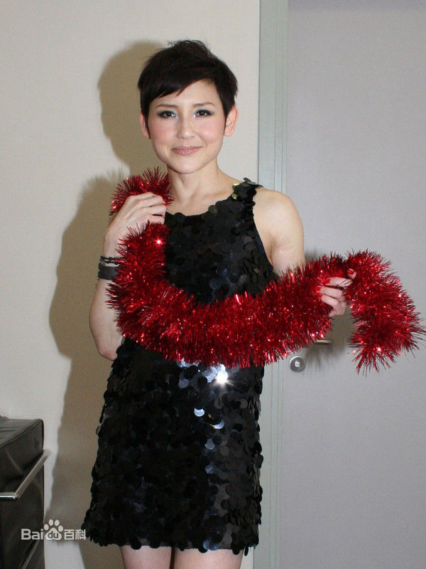 精选刘美君(Prudence Liew)精彩图册