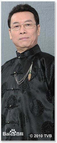 岳华影视最全剧照