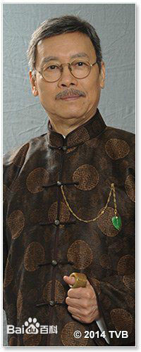 岳华影视最全剧照