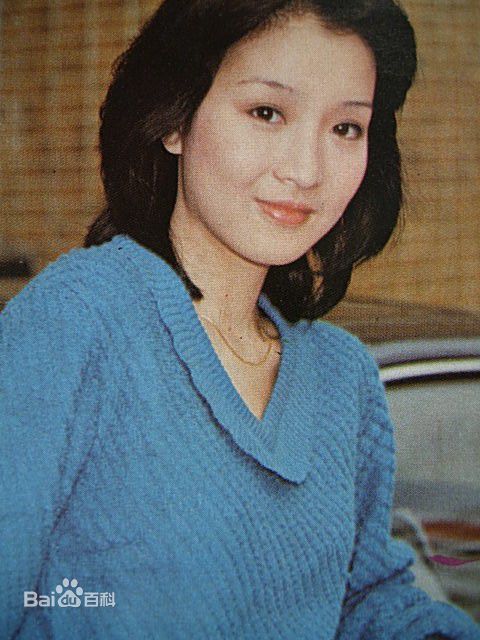 最全黄杏秀(Cecilia Wong Hang-Sau)精彩图册