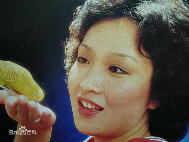 最全黄杏秀(Cecilia Wong Hang-Sau)精彩图册