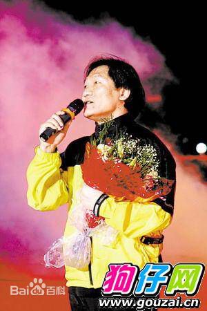 谢东在舞台表演壁纸壁纸