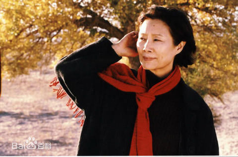 吕中2004年《神舟》精选剧照