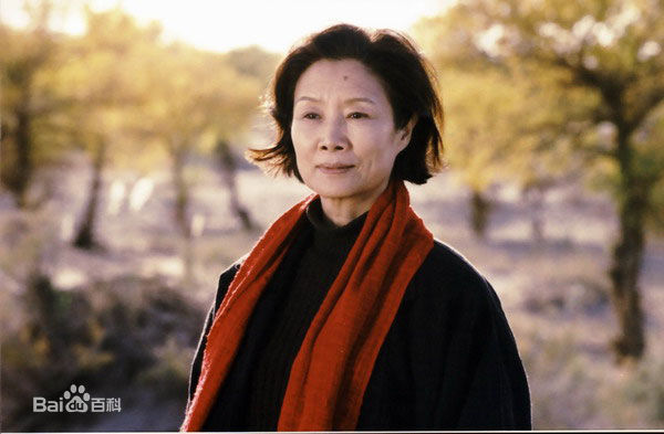 吕中2004年《神舟》精选剧照