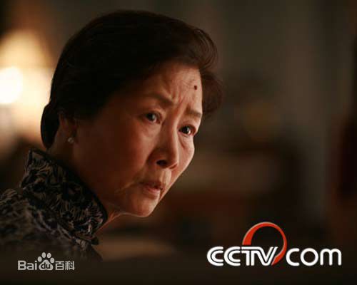 吕中2008年《人间正道是沧桑》高清剧照