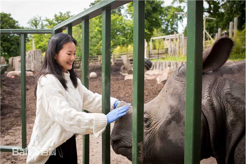 咏梅精选爱丁堡图图册