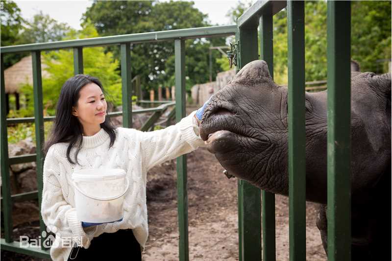 咏梅精选爱丁堡图图册