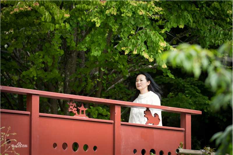 咏梅精选爱丁堡图图册