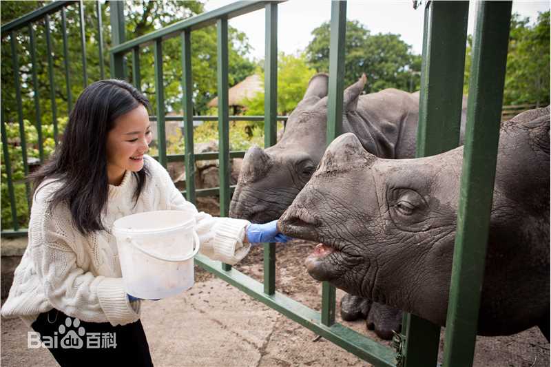 咏梅精选爱丁堡图图册