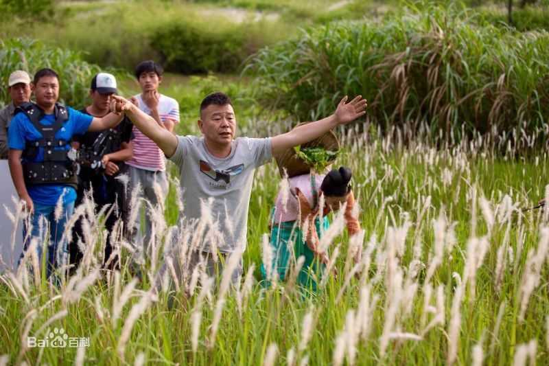 最全高升中素颜照