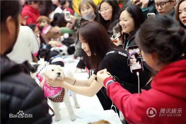 李菲儿前后照片