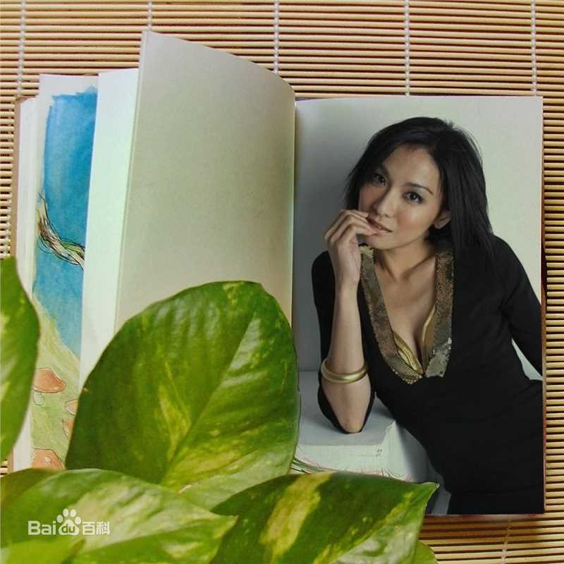 最新江祖平(Amigo)精彩图册