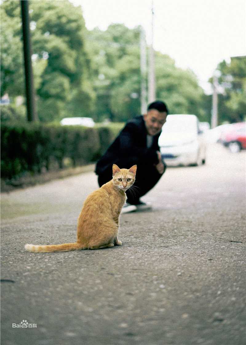 许明虎(Tiger Xu)生活照（2018）前后照片
