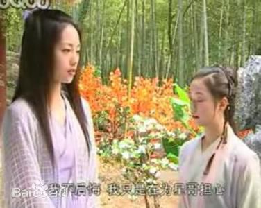 张龄心 《流星蝴蝶剑》最优质剧照