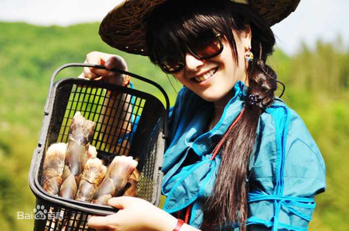 最优质舒砚精彩图册