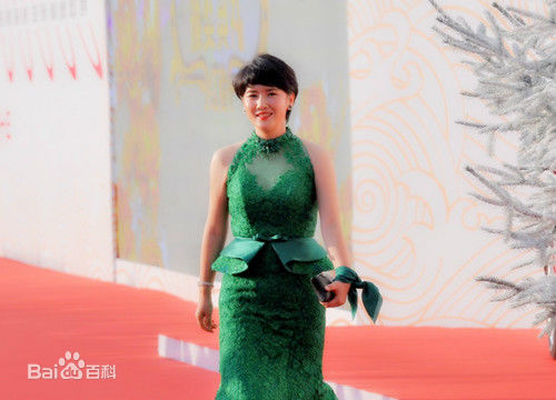 精选陈虹池(Chen Hongchi)