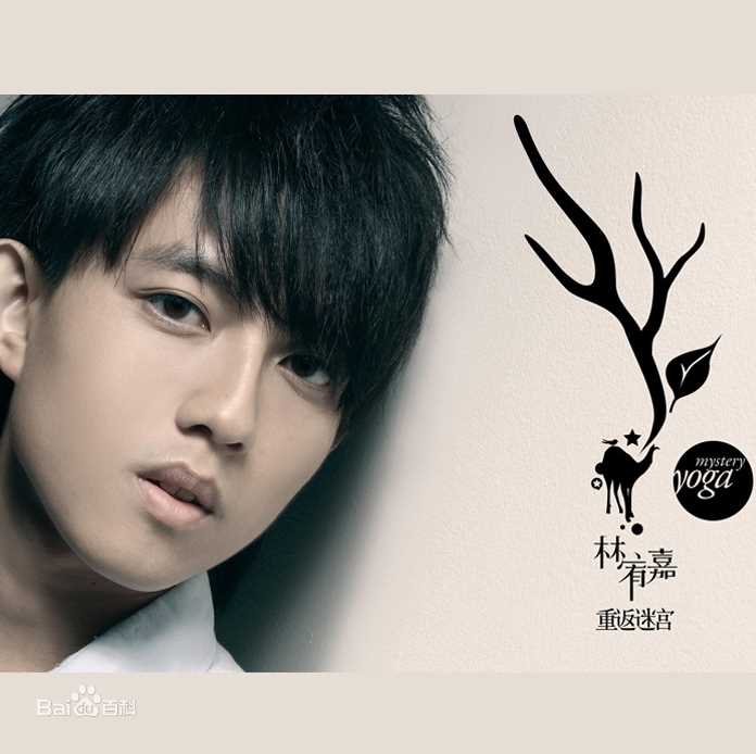 最全林宥嘉(Yoga Lin)壁纸