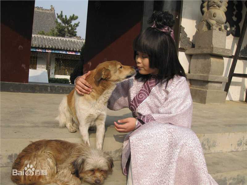 王莎莎话剧作品集，壁纸壁纸