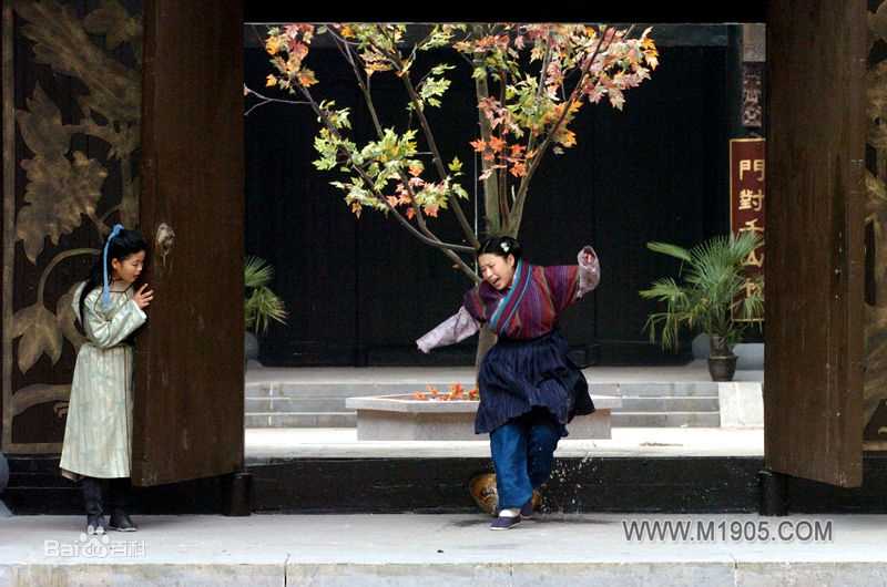 王莎莎电影作品集，性感图片图集