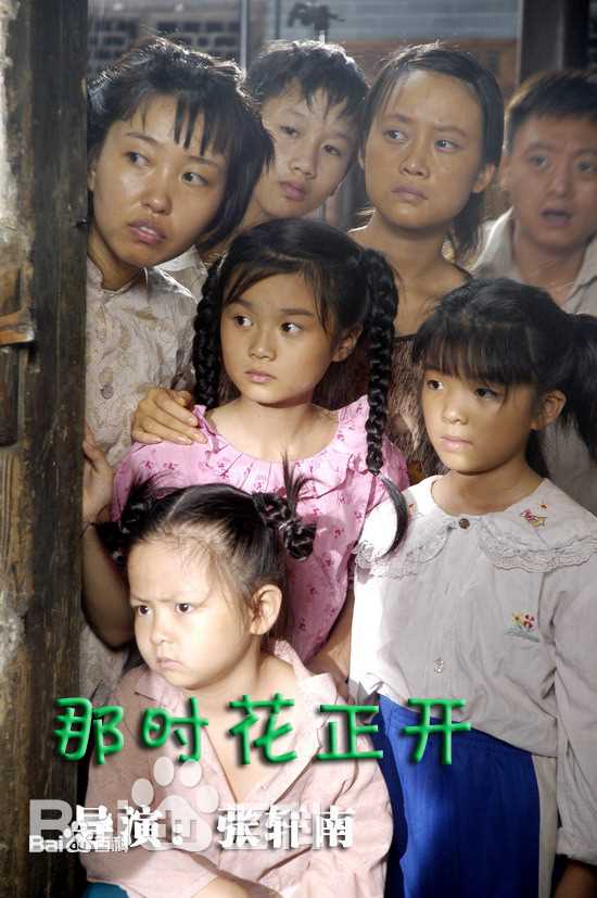 张轩南(Danfer)影视作品图片图册