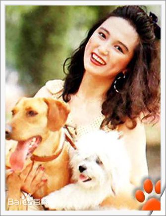 高宝宝最新图片图集