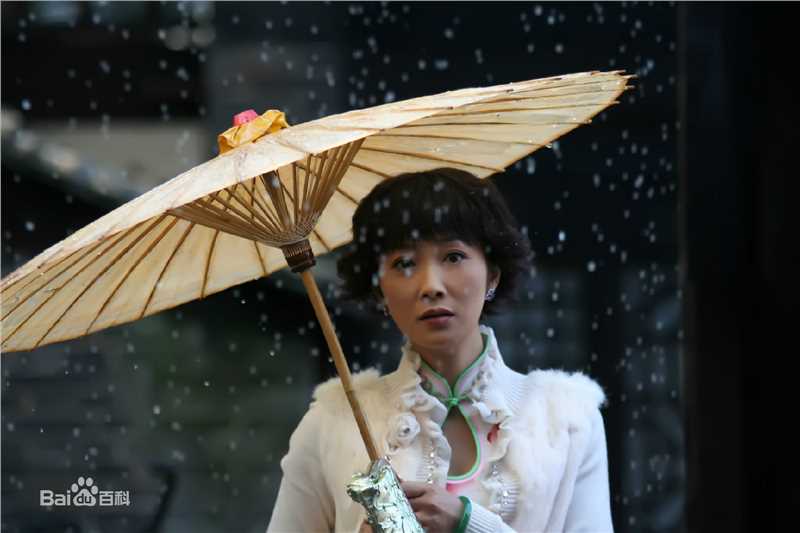 蒋林静(Jiang Linjing)年代造型前后照片