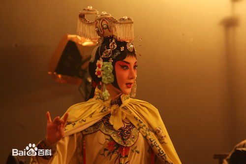 李依晓(Yixiao Li)在《北方有佳人》寄萍中的