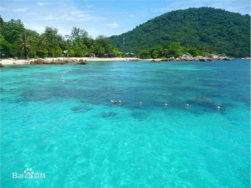 最全柳小海壁纸