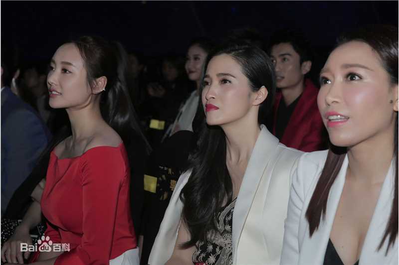 龚蓓苾(Gong Beibi)出席活动素颜照相册