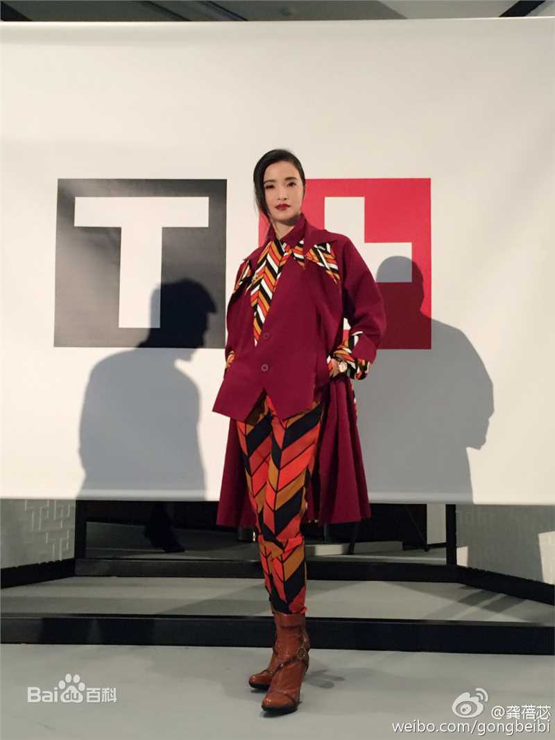 龚蓓苾(Gong Beibi)出席活动素颜照相册