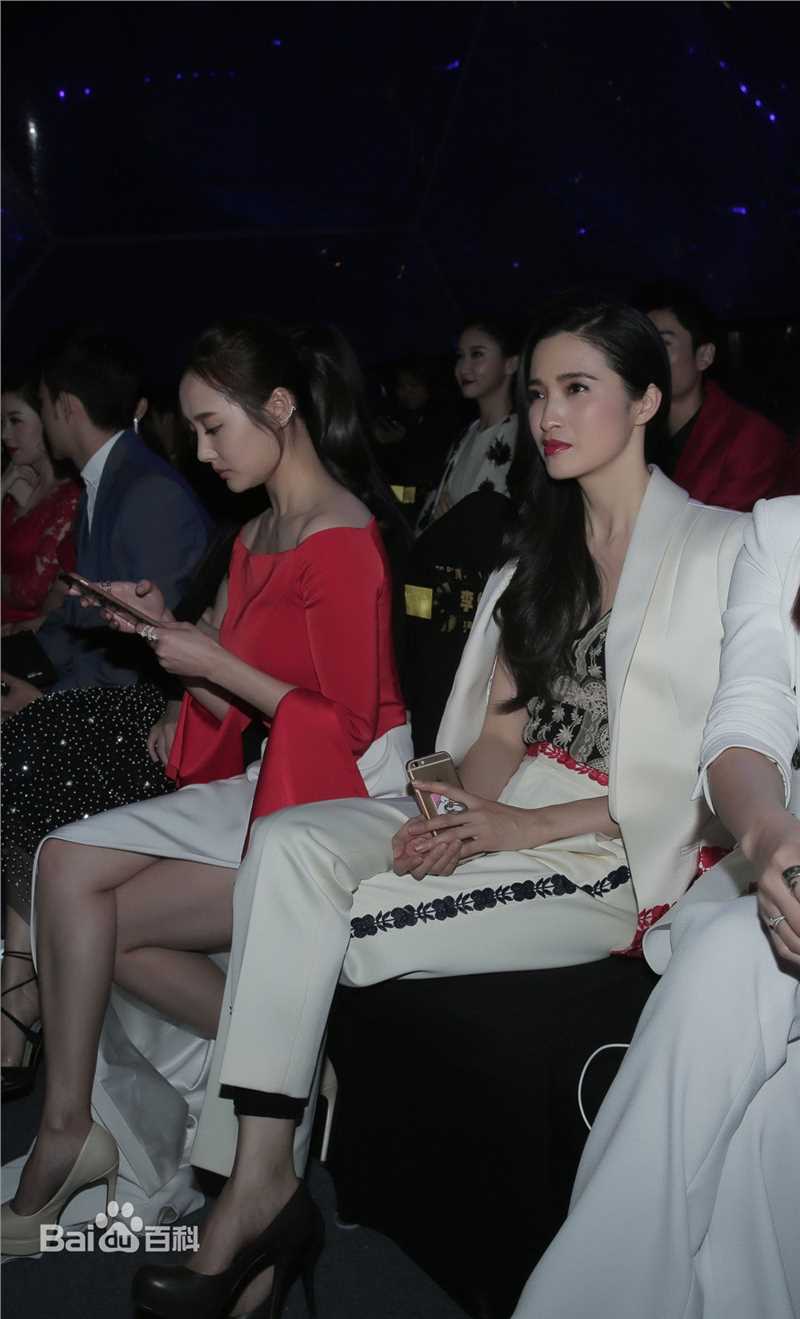 龚蓓苾(Gong Beibi)出席活动素颜照相册