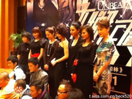 最新郑希怡(Yumiko cheng)在《高手如林》新闻发布会中的壁纸