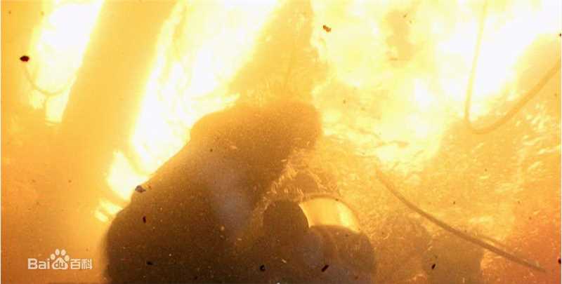 王喜(Wong He)2009年《烈火雄心3》最全剧照